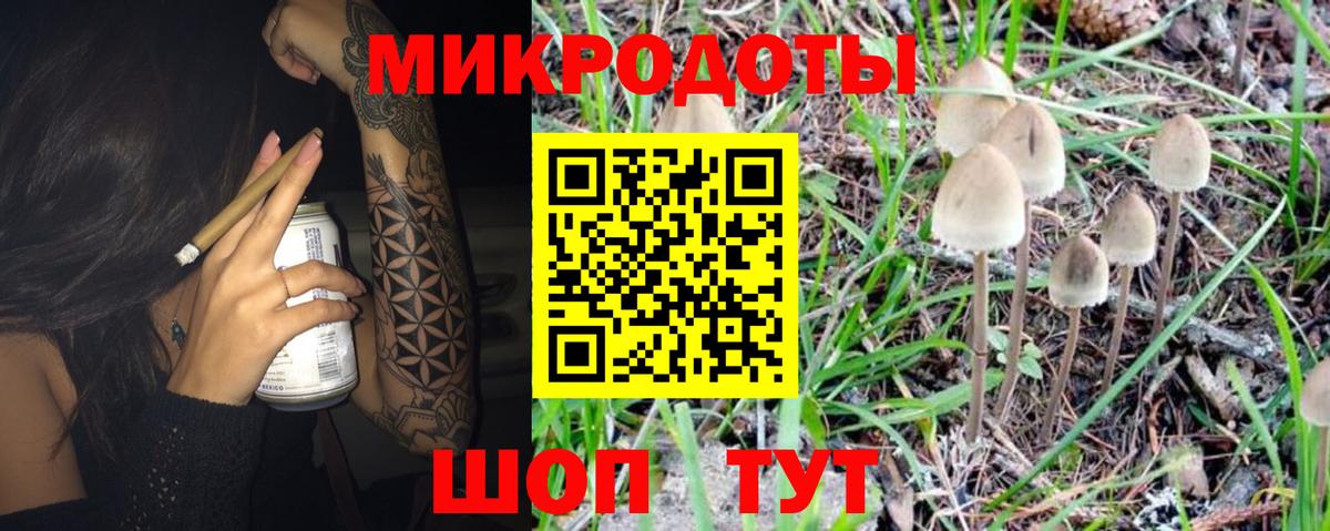 Алейск  Псилоцибиновые грибы Cubensis  Вход с VPN 